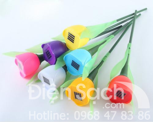 Đèn hoa tulip năng lượng mặt trời