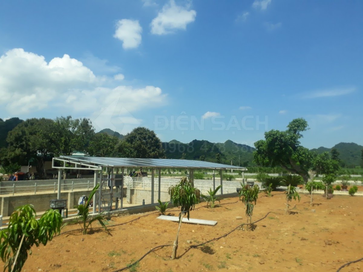 Trang trại nhà chú Phán - Thạch Thành