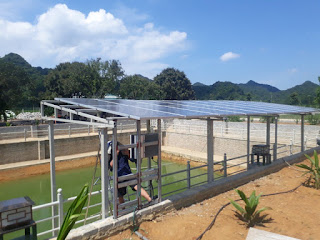 Trang trại nhà chú Phán - Thạch Thành