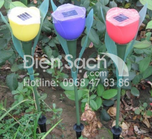 Đèn hoa tulip năng lượng mặt trời
