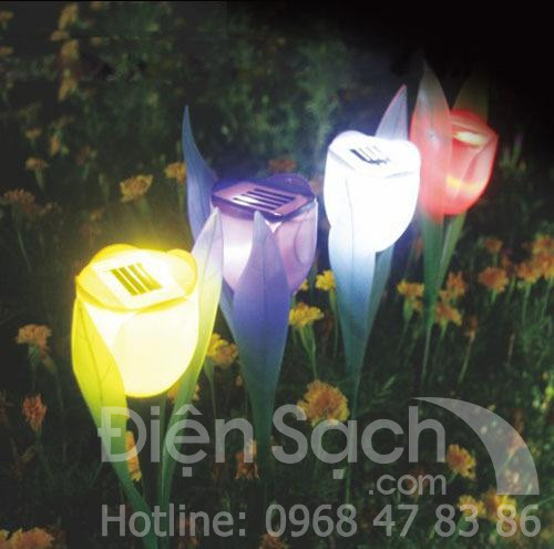Đèn hoa tulip năng lượng mặt trời