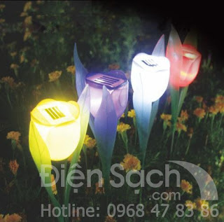 Đèn hoa tulip năng lượng mặt trời