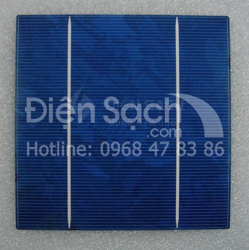 Pin mặt trời đa tinh thể 156mmx156mm