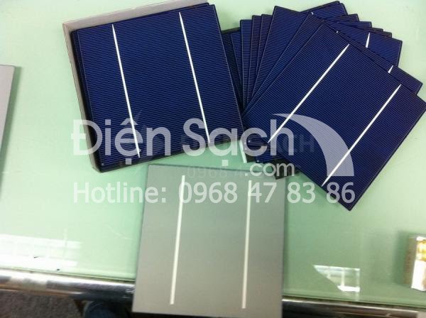 Pin mặt trời đa tinh thể 156mmx156mm