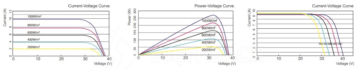 Pin năng lượng mặt trời 300W Mono - DeHui